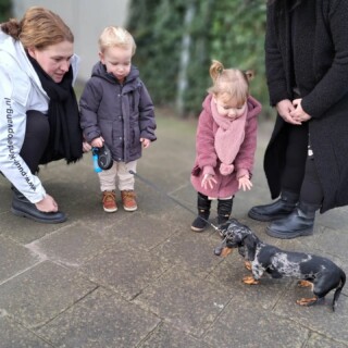In Galder werken we aan thema: huisdieren. De peuters en dreumesen mochten een echte puppy uitlaten. Goed de riem vasthouden hoor! #puurkinderopvang #dreumes #peuter #huisdieren #kinderopvang